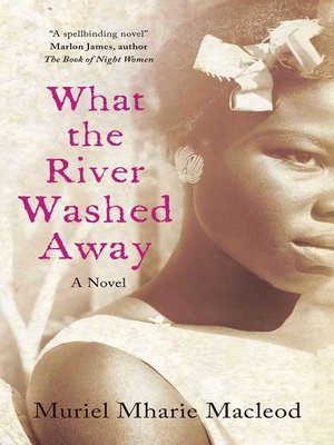 What the River Washed Away - ebook